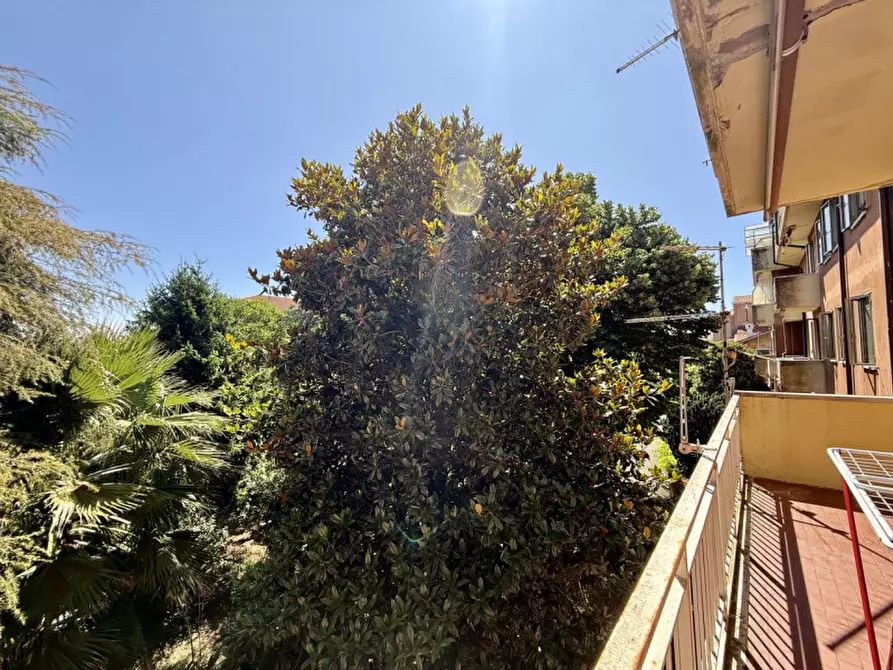 Immagine 7 di Appartamento in vendita  in piazza costituzione a Legnago