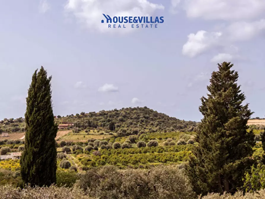 Immagine 9 di Villa in vendita  in mammanelli a Avola