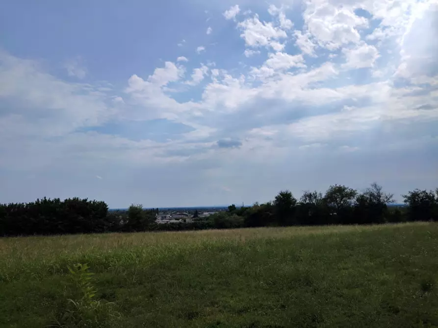 Immagine 5 di Villa in vendita  a Montebelluna