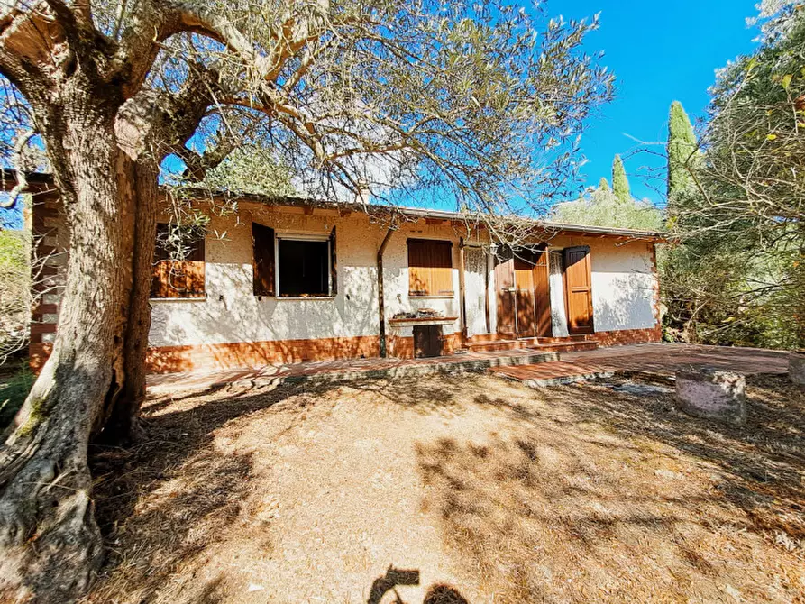 Immagine 1 di Casa indipendente in vendita  in loc. Toppello a Passignano Sul Trasimeno