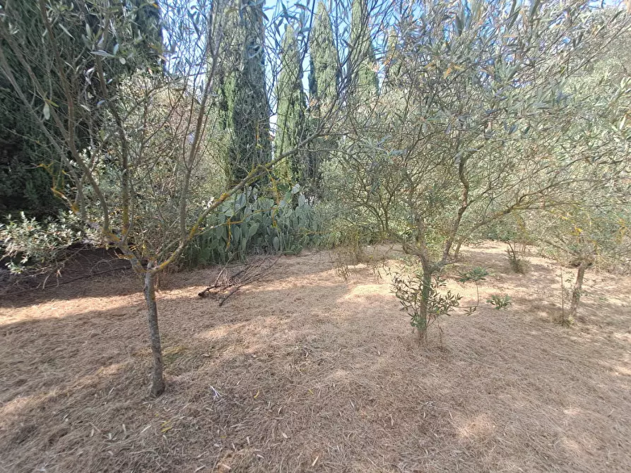 Immagine 13 di Casa indipendente in vendita  in loc. Toppello a Passignano Sul Trasimeno