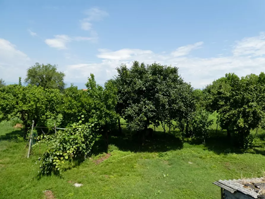 Immagine 19 di Rustico / casale in vendita  in Via Spine a Monticello Conte Otto