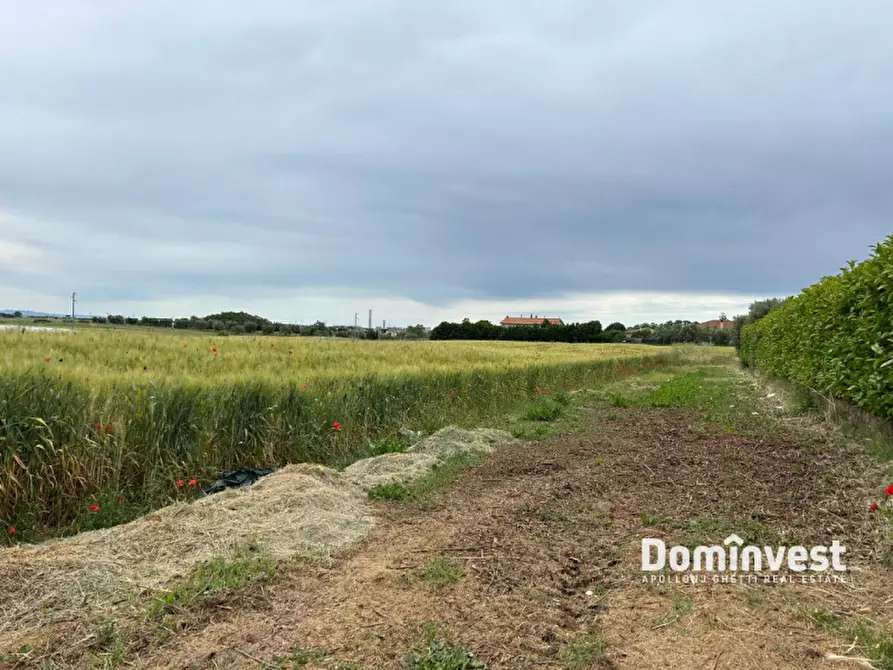Immagine 3 di Terreno in vendita  in Strada Cacciata Grande a Montalto Di Castro