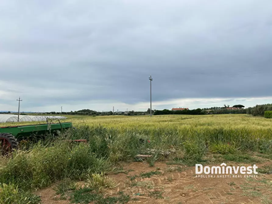 Immagine 4 di Terreno in vendita  in Strada Cacciata Grande a Montalto Di Castro