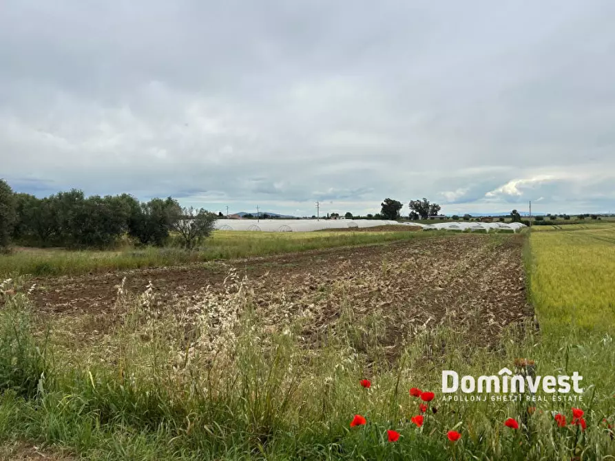 Immagine 8 di Terreno in vendita  in Strada Cacciata Grande a Montalto Di Castro