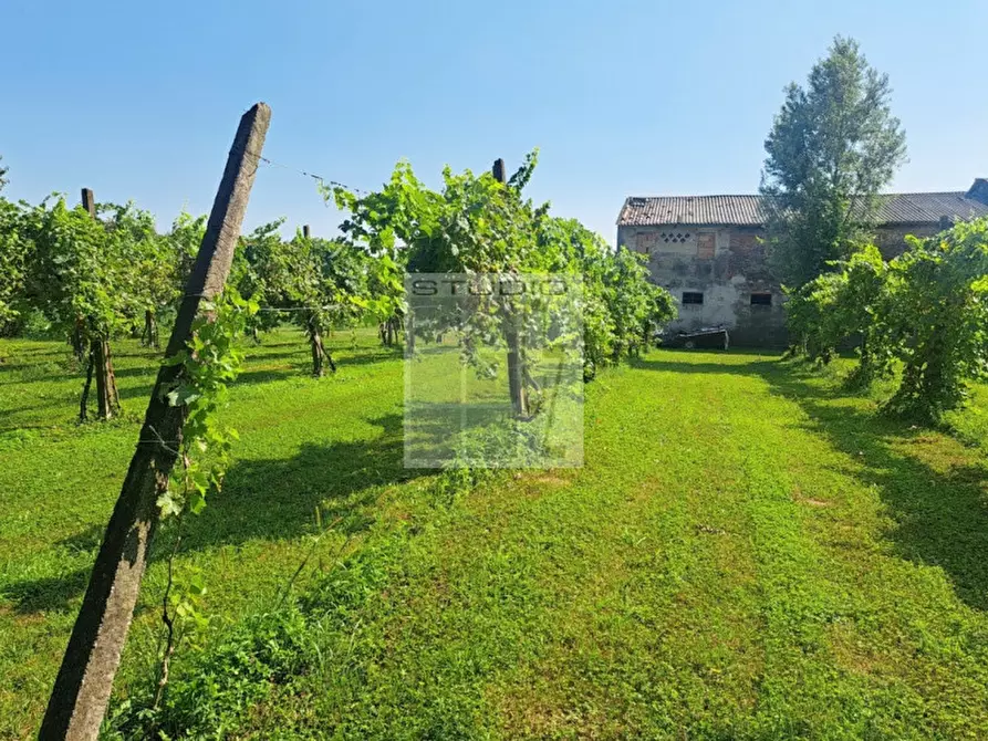 Immagine 3 di Rustico / casale in vendita  in Via Maglio a Villa Del Conte
