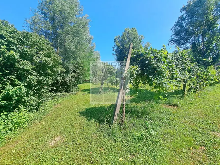 Immagine 4 di Rustico / casale in vendita  in Via Maglio a Villa Del Conte