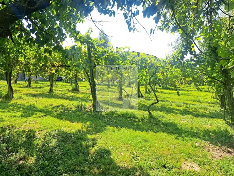 Immagine 7 di Rustico / casale in vendita  in Via Maglio a Villa Del Conte