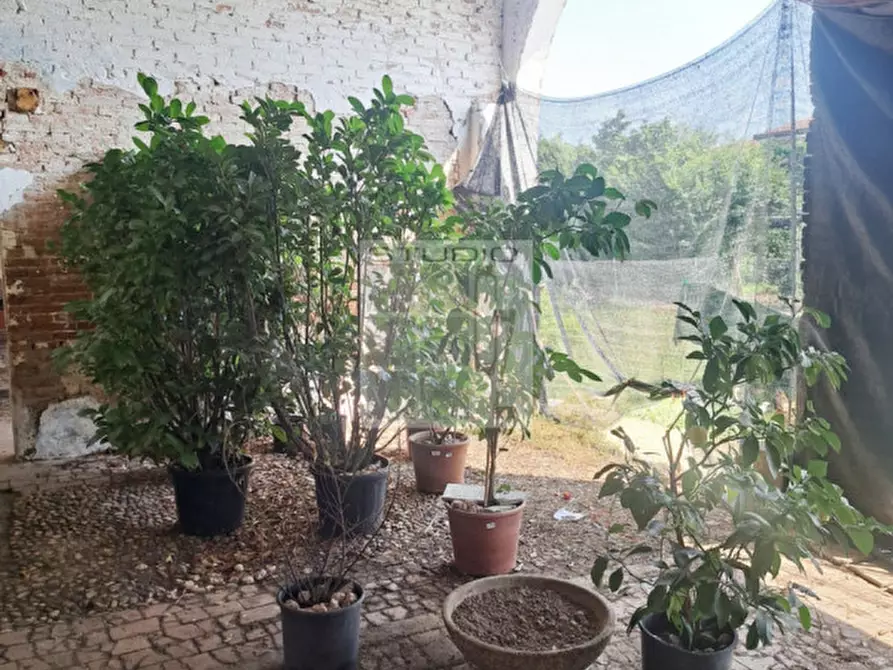 Immagine 11 di Rustico / casale in vendita  in Via Maglio a Villa Del Conte