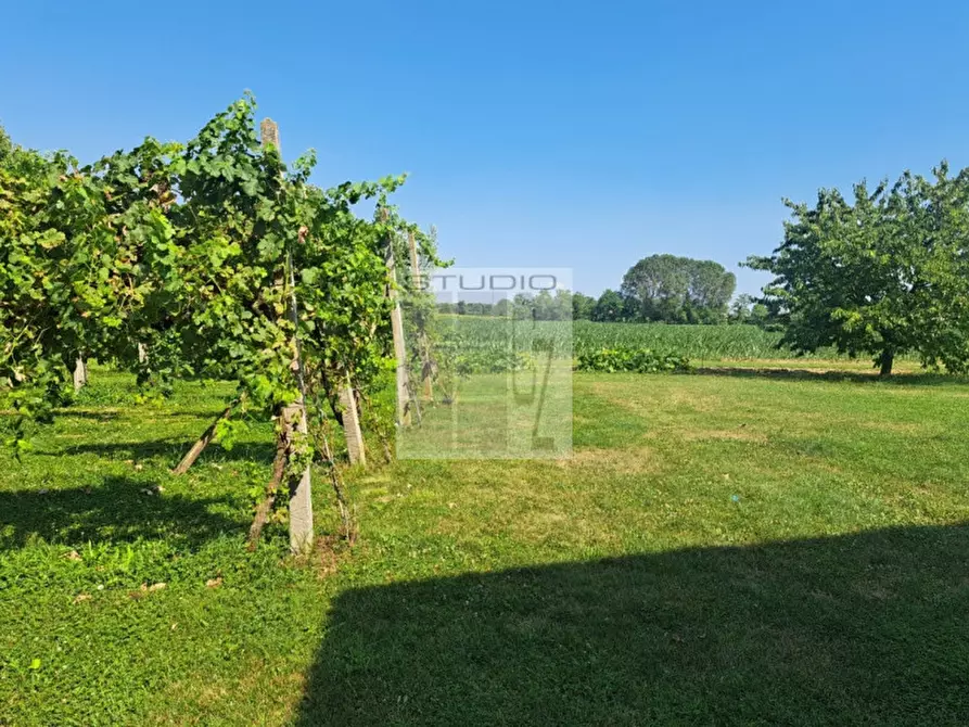 Immagine 13 di Rustico / casale in vendita  in Via Maglio a Villa Del Conte