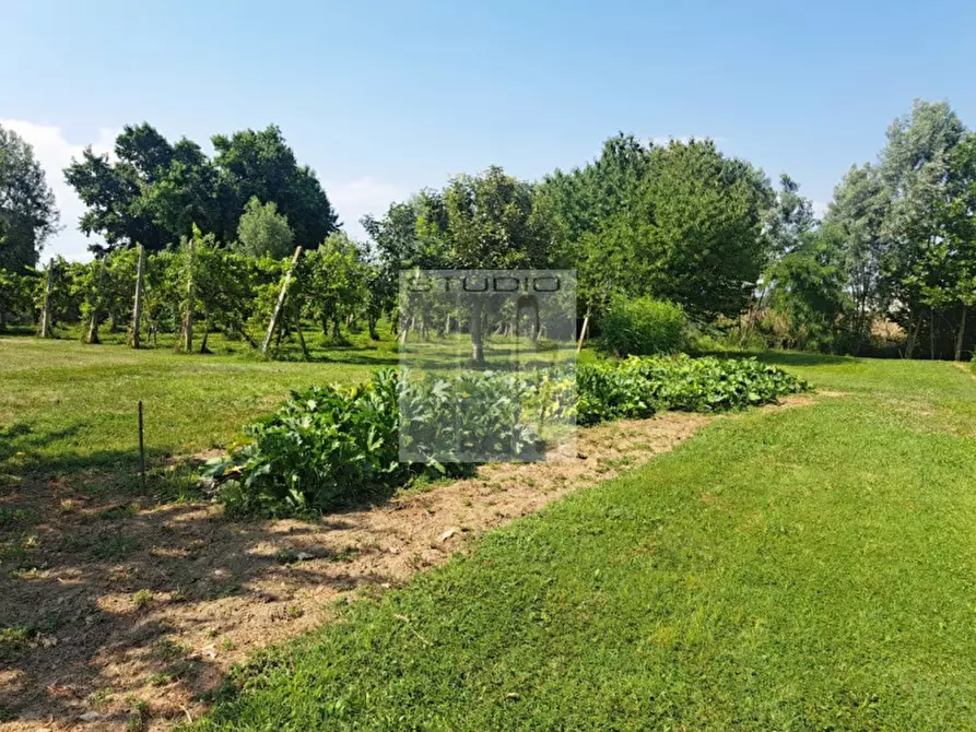 Immagine 15 di Rustico / casale in vendita  in Via Maglio a Villa Del Conte