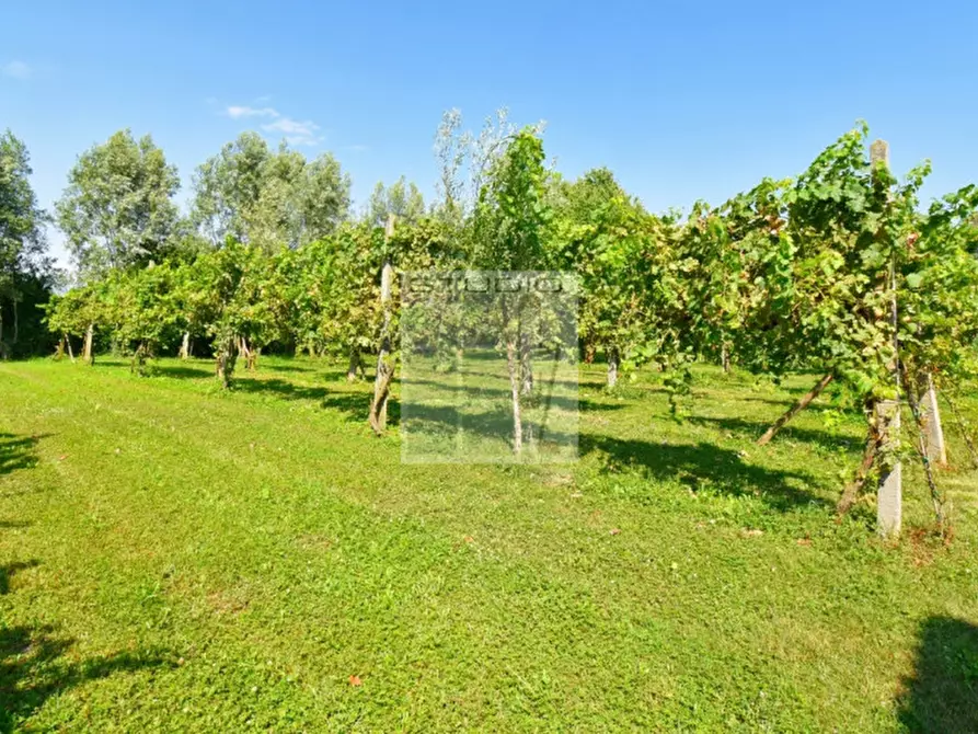 Immagine 16 di Rustico / casale in vendita  in Via Maglio a Villa Del Conte