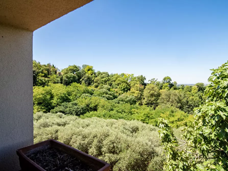 Immagine 13 di Casa indipendente in vendita  in Via Castello a Lozzo Atestino