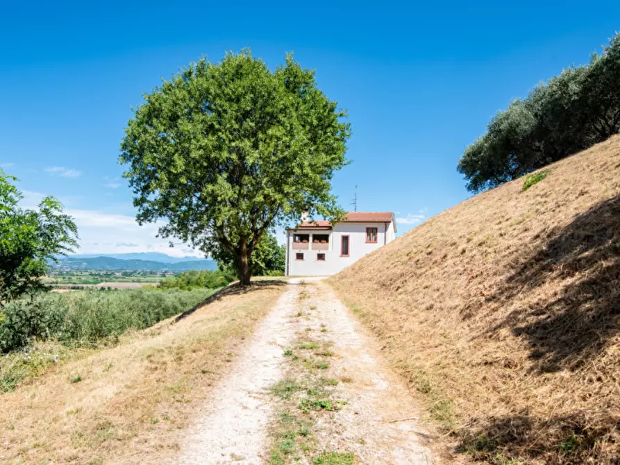 Immagine 26 di Casa indipendente in vendita  in Via Castello a Lozzo Atestino