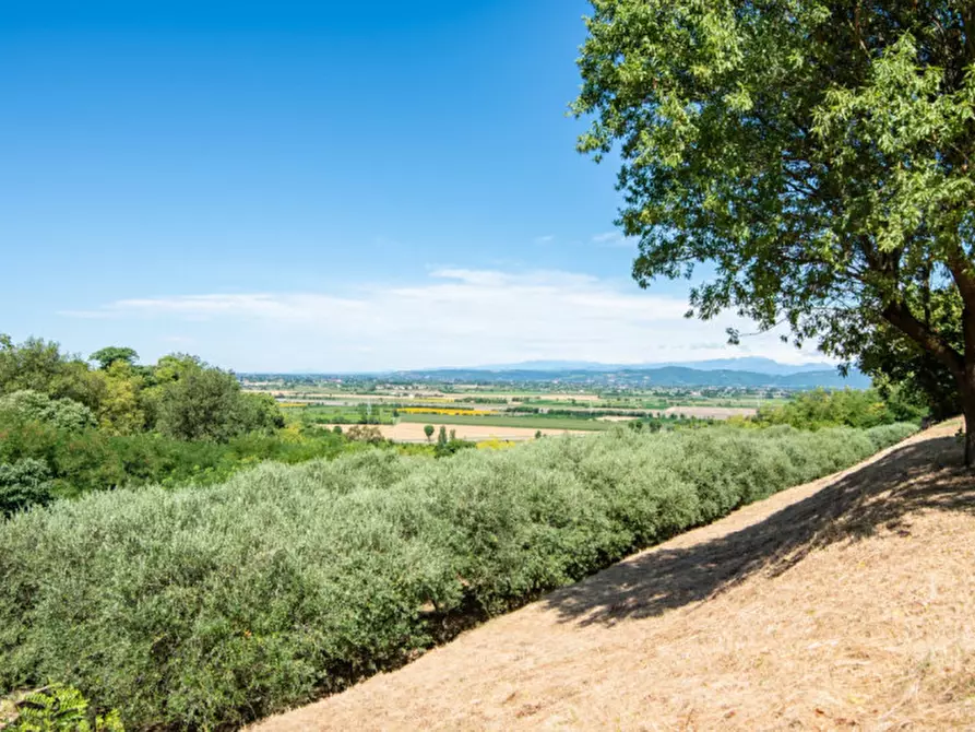 Immagine 29 di Casa indipendente in vendita  in Via Castello a Lozzo Atestino
