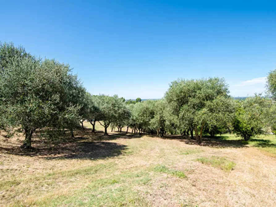 Immagine 30 di Casa indipendente in vendita  in Via Castello a Lozzo Atestino