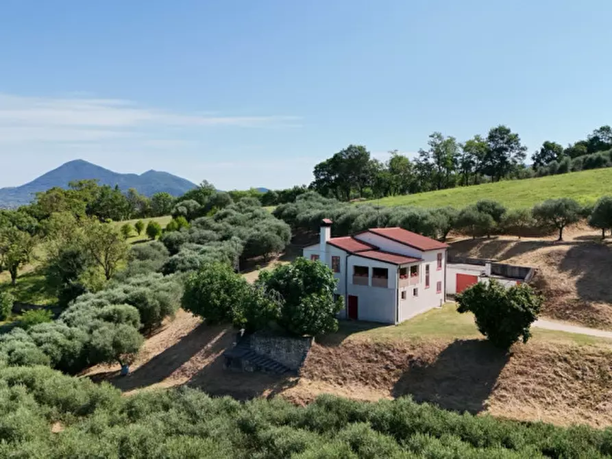 Immagine 38 di Casa indipendente in vendita  in Via Castello a Lozzo Atestino