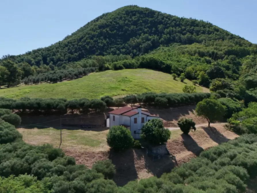 Immagine 39 di Casa indipendente in vendita  in Via Castello a Lozzo Atestino