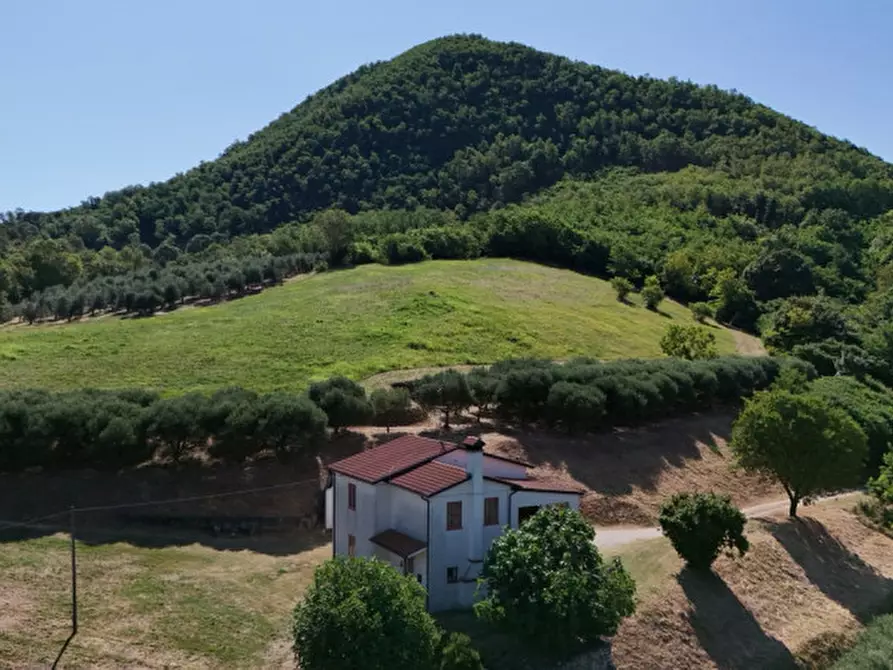 Immagine 41 di Casa indipendente in vendita  in Via Castello a Lozzo Atestino