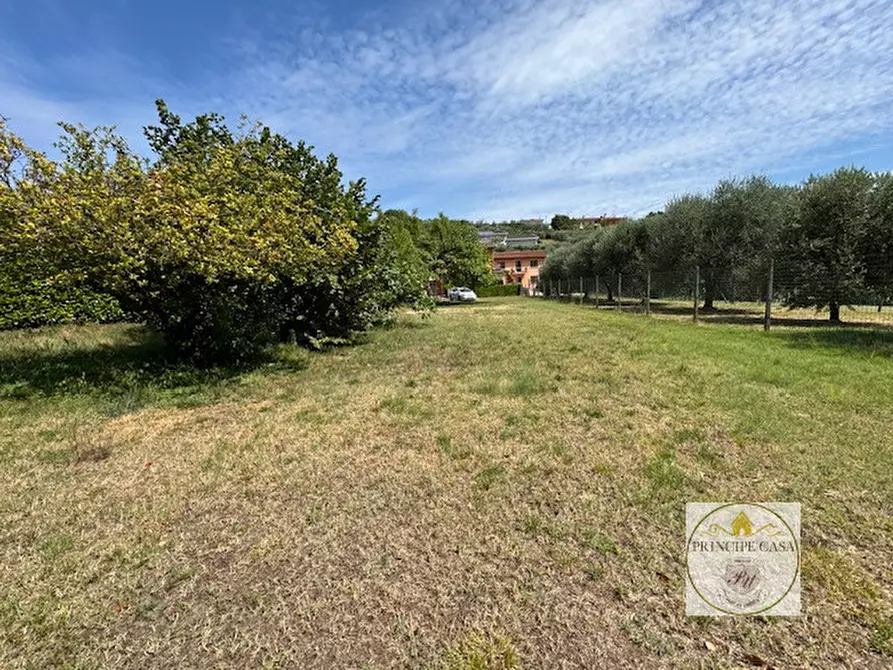 Immagine 7 di Terreno in vendita  in Via Biasiole a Galzignano Terme