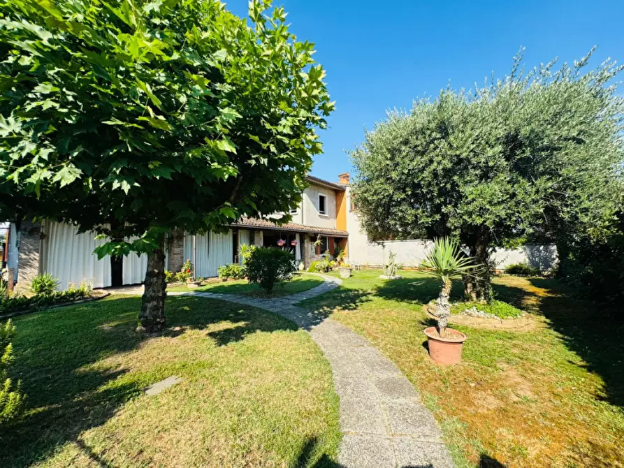 Immagine 5 di Appartamento in vendita  a Calvisano