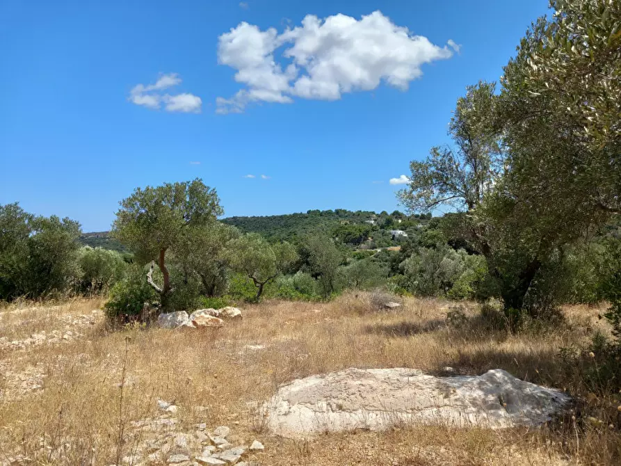 Immagine 3 di Rustico / casale in vendita  in C.da La Chiusa a Ostuni