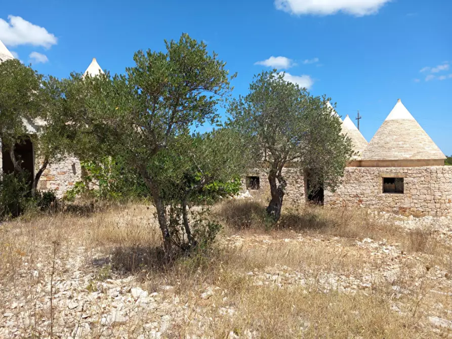 Immagine 4 di Rustico / casale in vendita  in C.da La Chiusa a Ostuni