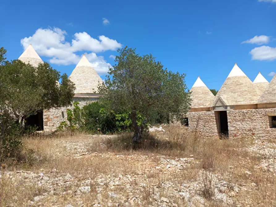 Immagine 7 di Rustico / casale in vendita  in C.da La Chiusa a Ostuni