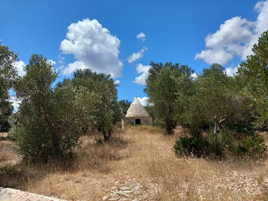 Immagine 8 di Rustico / casale in vendita  in C.da La Chiusa a Ostuni
