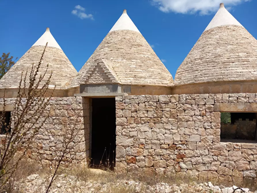 Immagine 15 di Rustico / casale in vendita  in C.da La Chiusa a Ostuni