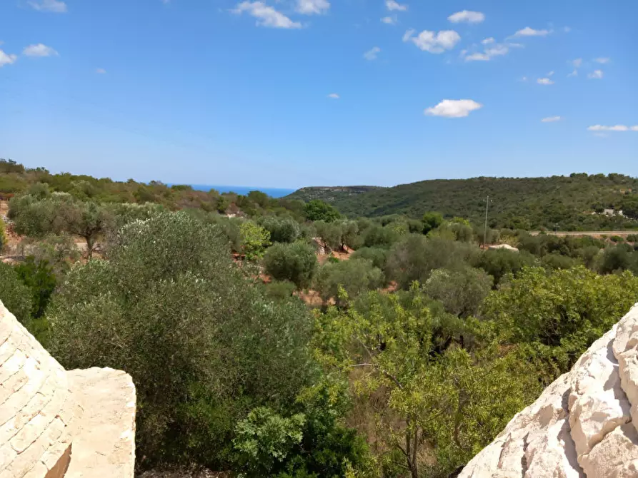 Immagine 24 di Rustico / casale in vendita  in C.da La Chiusa a Ostuni