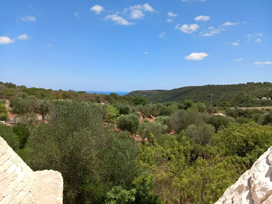 Immagine 25 di Rustico / casale in vendita  in C.da La Chiusa a Ostuni