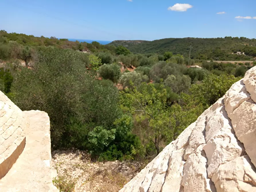 Immagine 26 di Rustico / casale in vendita  in C.da La Chiusa a Ostuni