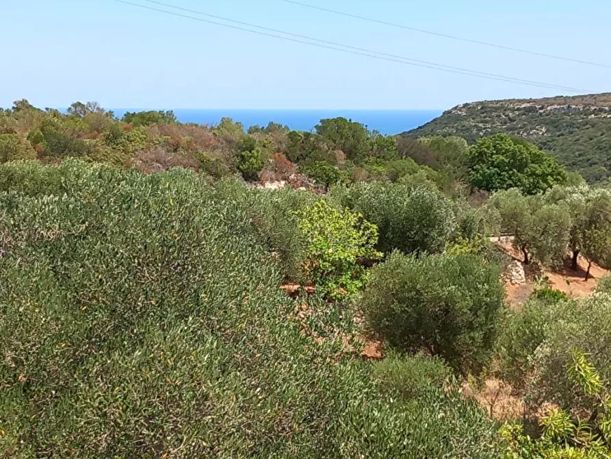 Immagine 27 di Rustico / casale in vendita  in C.da La Chiusa a Ostuni