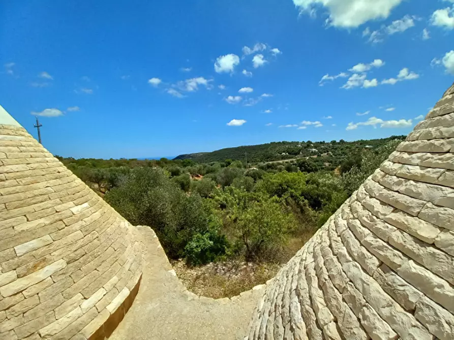 Immagine 28 di Rustico / casale in vendita  in C.da La Chiusa a Ostuni