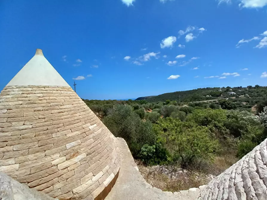 Immagine 29 di Rustico / casale in vendita  in C.da La Chiusa a Ostuni