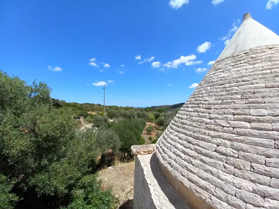 Immagine 30 di Rustico / casale in vendita  in C.da La Chiusa a Ostuni