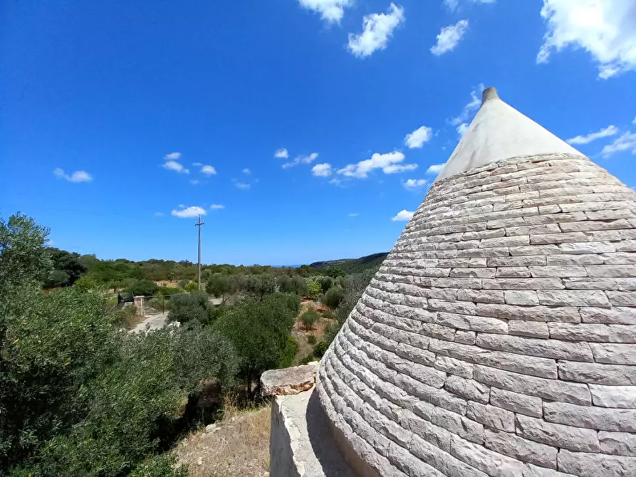 Immagine 31 di Rustico / casale in vendita  in C.da La Chiusa a Ostuni