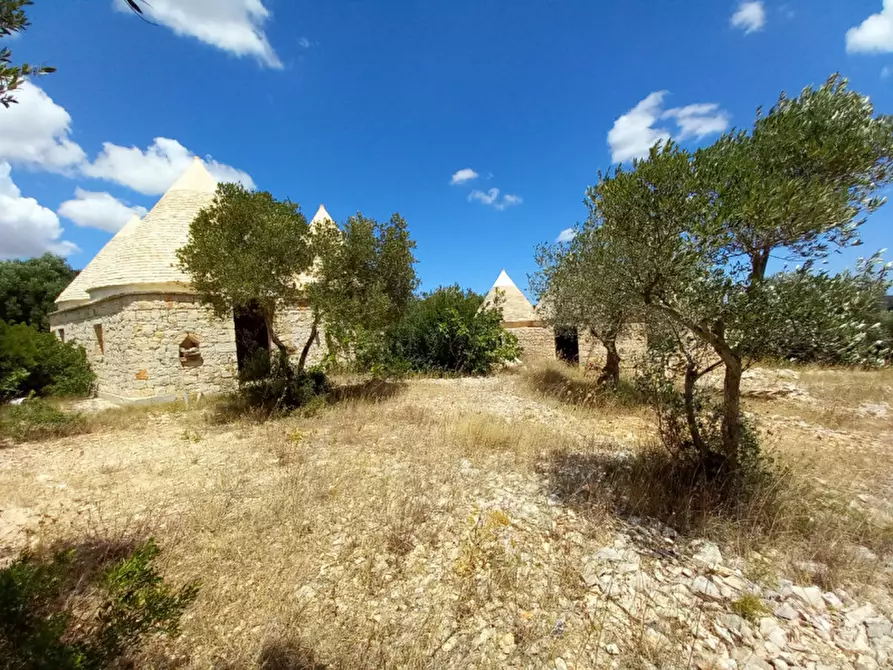 Immagine 32 di Rustico / casale in vendita  in C.da La Chiusa a Ostuni