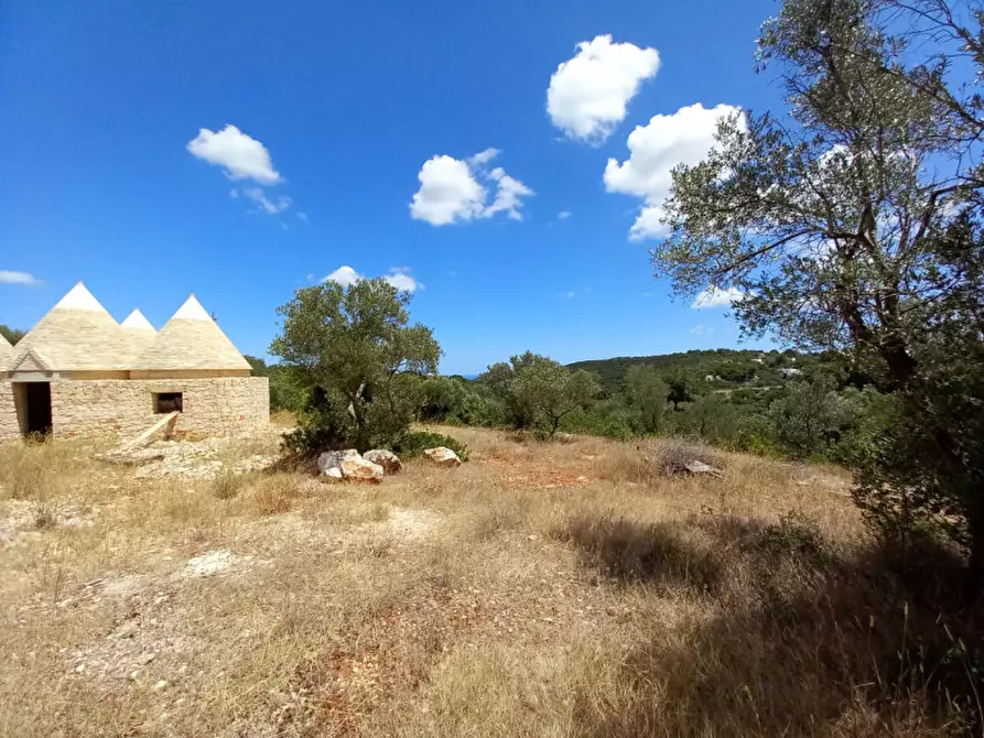 Immagine 33 di Rustico / casale in vendita  in C.da La Chiusa a Ostuni