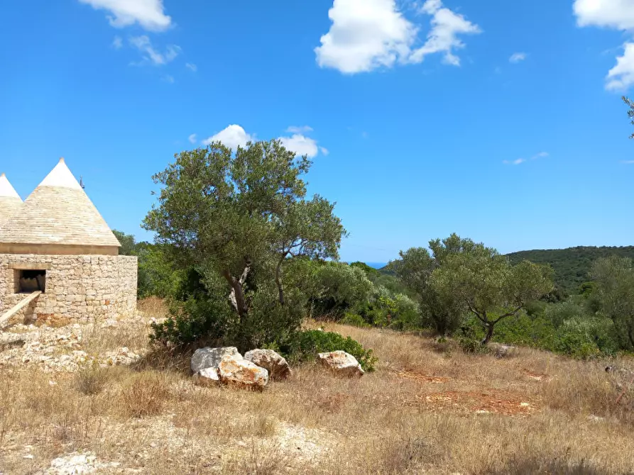 Immagine 34 di Rustico / casale in vendita  in C.da La Chiusa a Ostuni