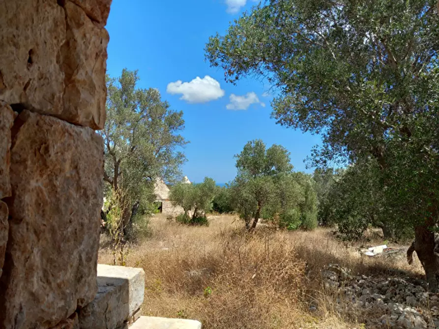 Immagine 43 di Rustico / casale in vendita  in C.da La Chiusa a Ostuni