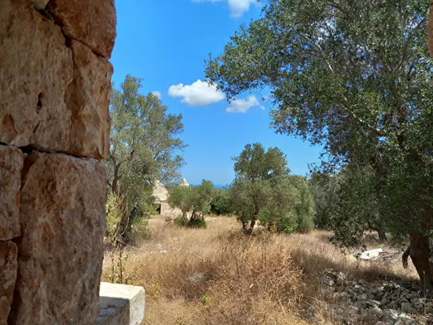 Immagine 44 di Rustico / casale in vendita  in C.da La Chiusa a Ostuni