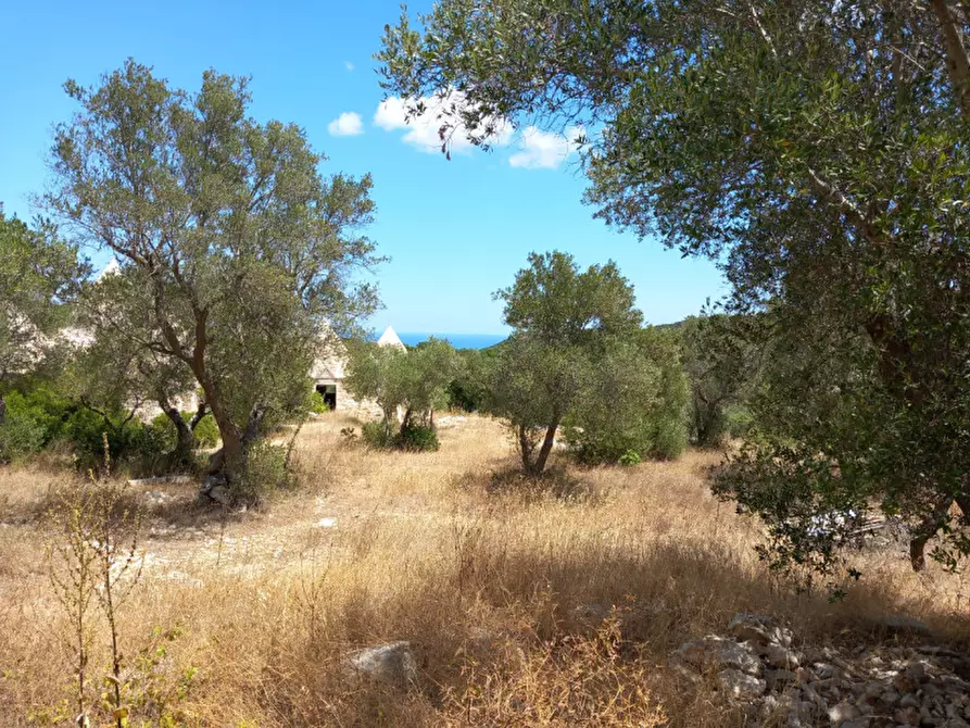 Immagine 45 di Rustico / casale in vendita  in C.da La Chiusa a Ostuni