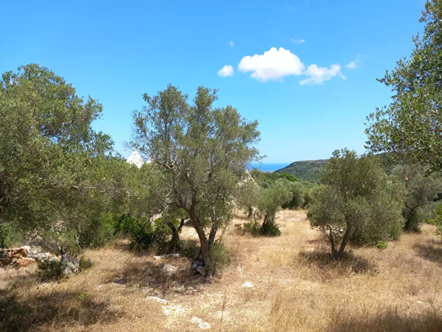 Immagine 47 di Rustico / casale in vendita  in C.da La Chiusa a Ostuni