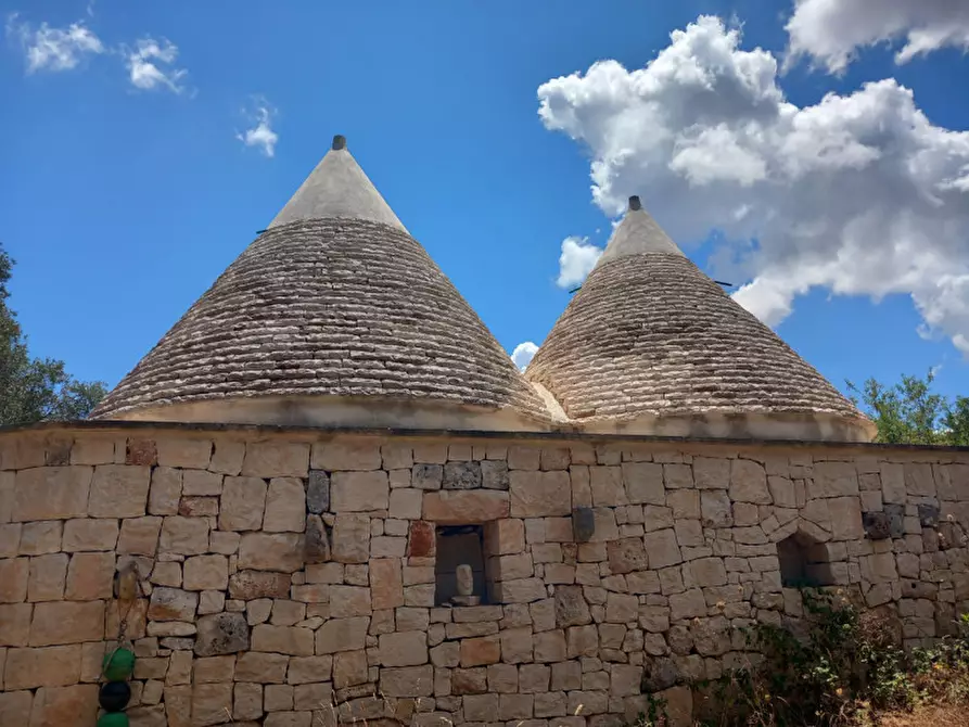 Immagine 49 di Rustico / casale in vendita  in C.da La Chiusa a Ostuni