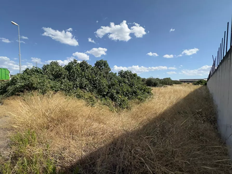 Immagine 3 di Terreno in vendita  in Via Vecchia Madonna dello Sterpeto, 76121 Barletta BT, Italia a Barletta