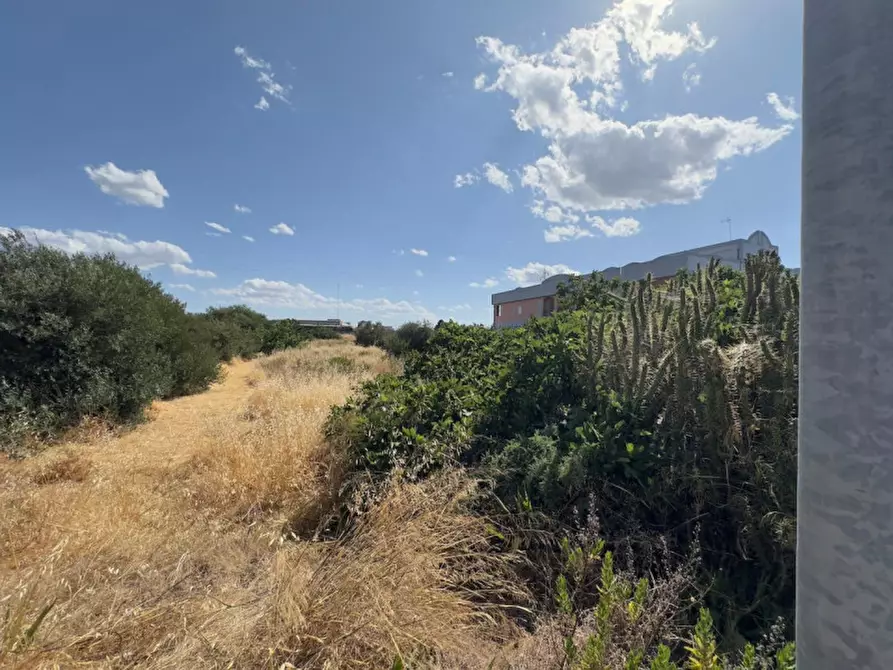 Immagine 6 di Terreno in vendita  in Via Vecchia Madonna dello Sterpeto, 76121 Barletta BT, Italia a Barletta