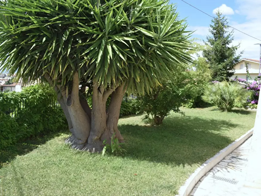 Immagine 26 di Casa bifamiliare in vendita  in Strada Pandolfi a Pescara