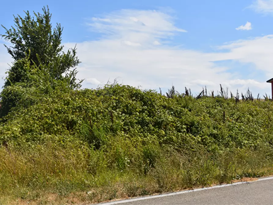 Immagine 5 di Terreno in vendita  in strada Molinara a Collecchio